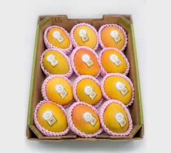 Australian Kensington Mango (5kg Box)