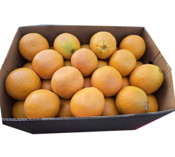 Australian mango Count 56