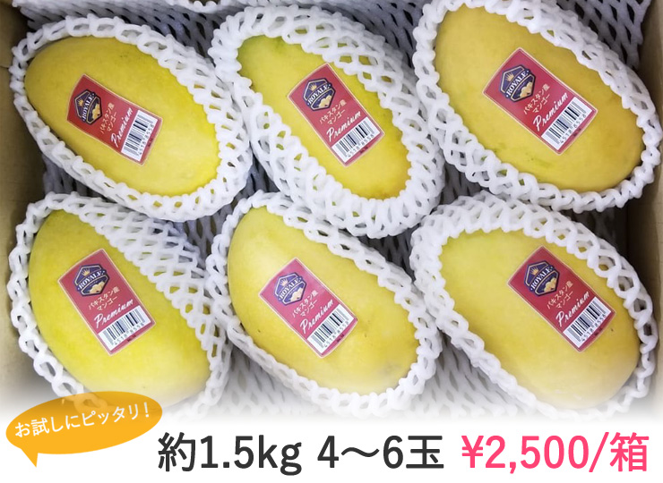 FRUIT-03