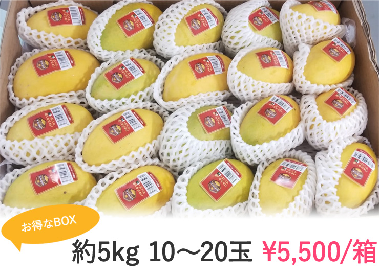FRUIT-03