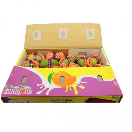Indian Kesar Mangoes 8-10Pcs