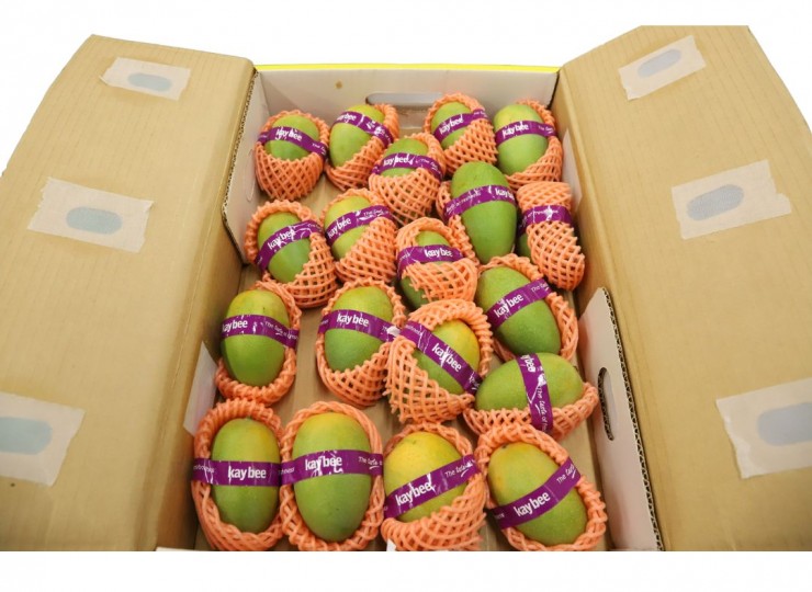 Indian Kesar Mangoes 8-10Pcs