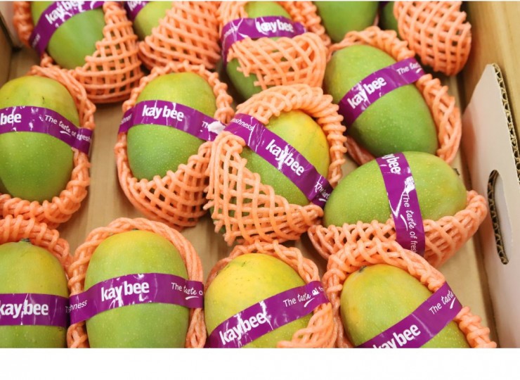 Indian Kesar Mangoes 8-10Pcs