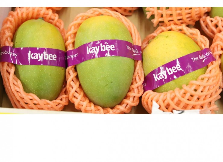 Indian Kesar Mangoes 8-10Pcs