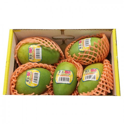 インド産ケサールマンゴー 5-6Pcs