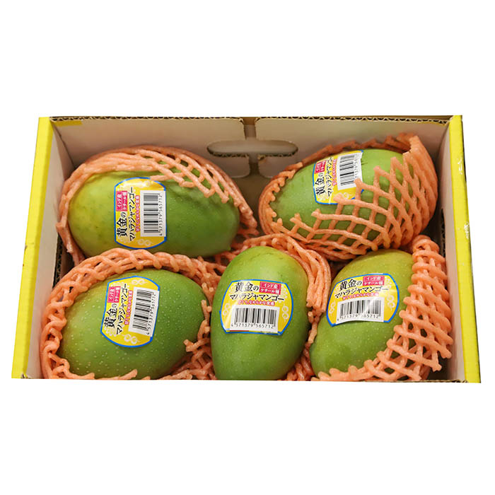 インド産ケサールマンゴー 5-6Pcs