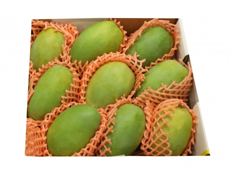 Indian Kesar Mangoes 8-10Pcs
