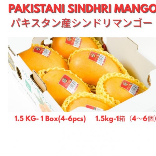 パキスタン産シンドリマンゴー 1.5kg- 1 箱（4～6個入り） Pakistani sindhri Mango 1.5kg – 1 Box (4-6pcs)