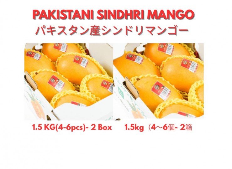 パキスタン産シンドリマンゴー 1.5kg（4～6個）- 2箱. PAKISTANI SINDHRI MANGO 1.5 kg( 4-6 pcs)- 2 BOX