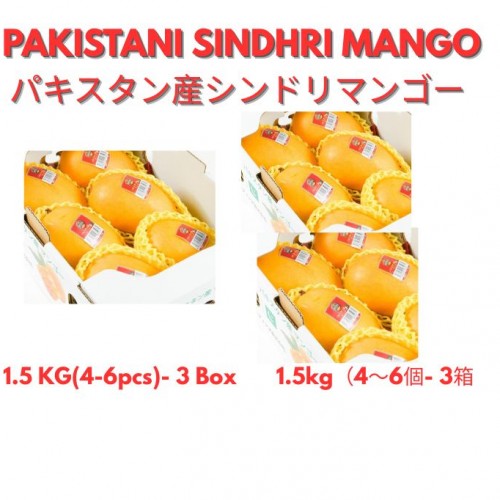 パキスタン産シンドリマンゴー 1.5kg（4～6個）- 3箱  PAKISTANI SINDHRI MANGO 1.5 kg( 4-6 pcs)- 3 BOX