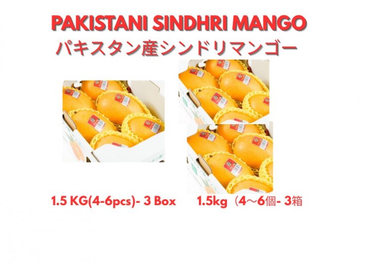 パキスタン産シンドリマンゴー 1.5kg（4～6個）- 3箱  PAKISTANI SINDHRI MANGO 1.5 kg( 4-6 pcs)- 3 BOX