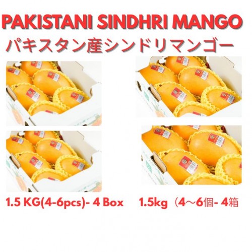 パキスタン産シンドリマンゴー 1.5キログラム（4～6個）4箱 Pakistani sindhri mango 1.5 kilogram (4-6pcs) 4 box