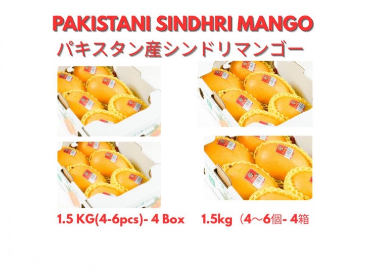 パキスタン産シンドリマンゴー 1.5キログラム(4~6個)4箱 Pakistani sindhri mango 1.5 kilogram (4-6pcs) 4 box