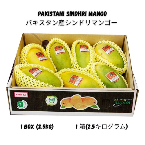 パキスタン産シンドリマンゴー 2.5kg（6～9個）1箱