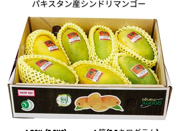 パキスタン産シンドリマンゴー 2.5kg（6～9個）1箱