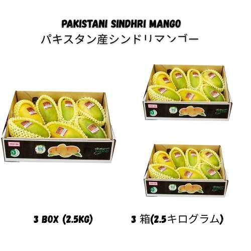 パキスタン産シンドリマンゴー 2.5kg – 3箱