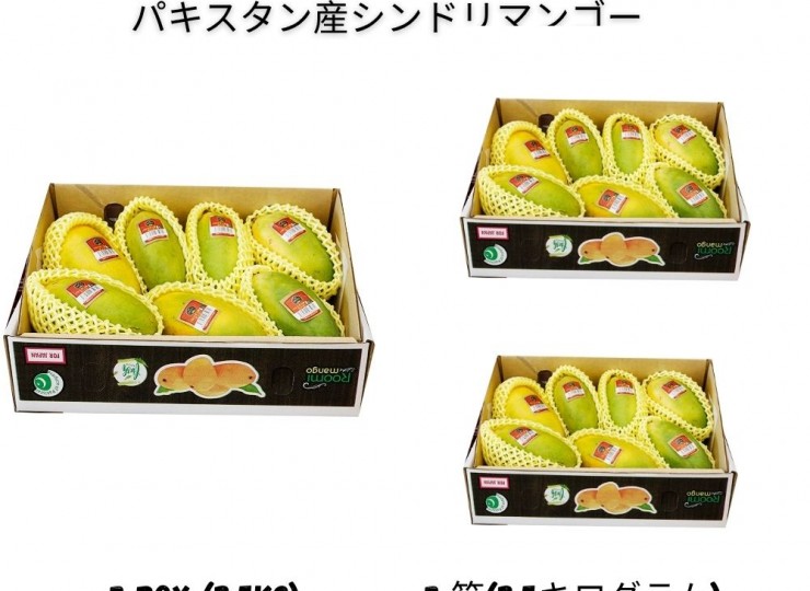 パキスタン産シンドリマンゴー 2.5kg – 3箱