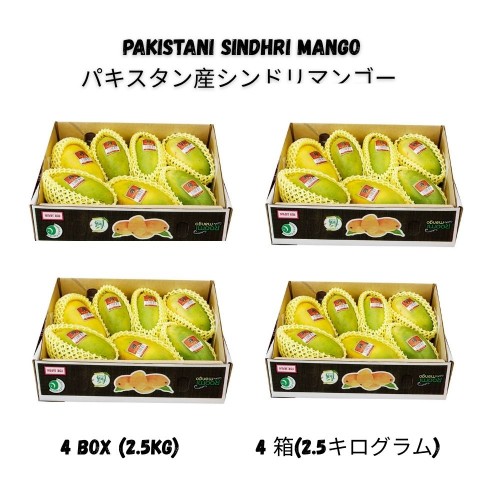 パキスタン産シンドリマンゴー 2.5kg (6-9個) – 4箱
