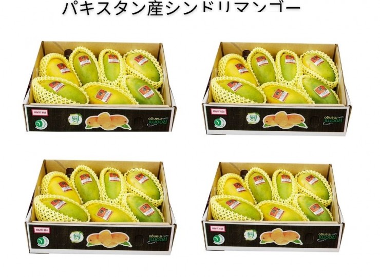 パキスタン産シンドリマンゴー 2.5kg (6-9個) – 4箱
