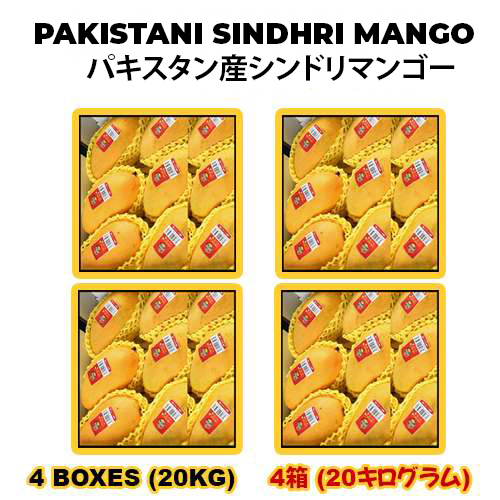 Pakistan Sindhri Mango 4 Box パキスタン産シンドリマンゴー4箱