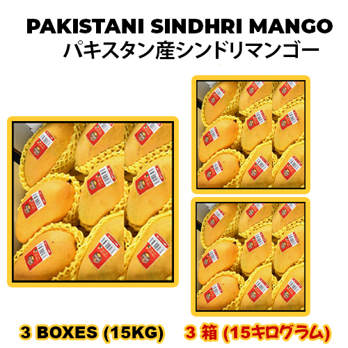 パキスタン産シンドリマンゴー3箱