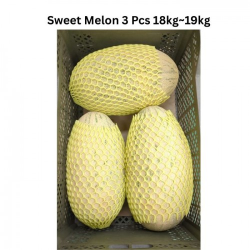 ウズベキスタン産スイートメロン – 輸入生鮮品 3個入りケース