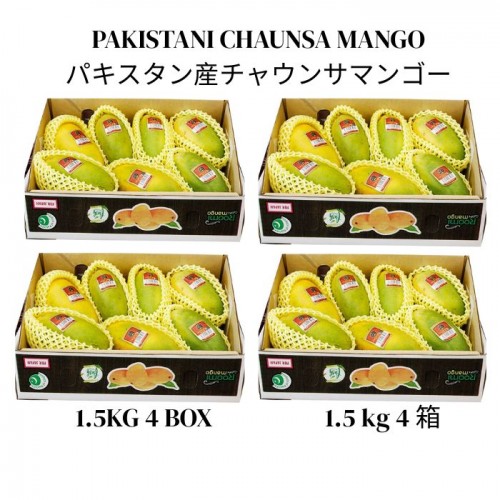 パキスタン産チャウンサマンゴー 1.5kg 4箱
