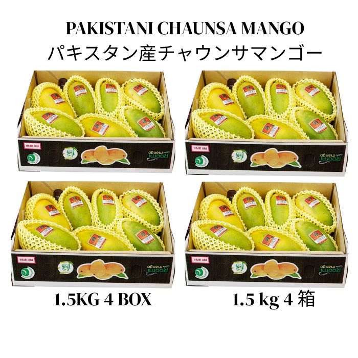 パキスタン産チャウンサマンゴー 1.5kg 4箱