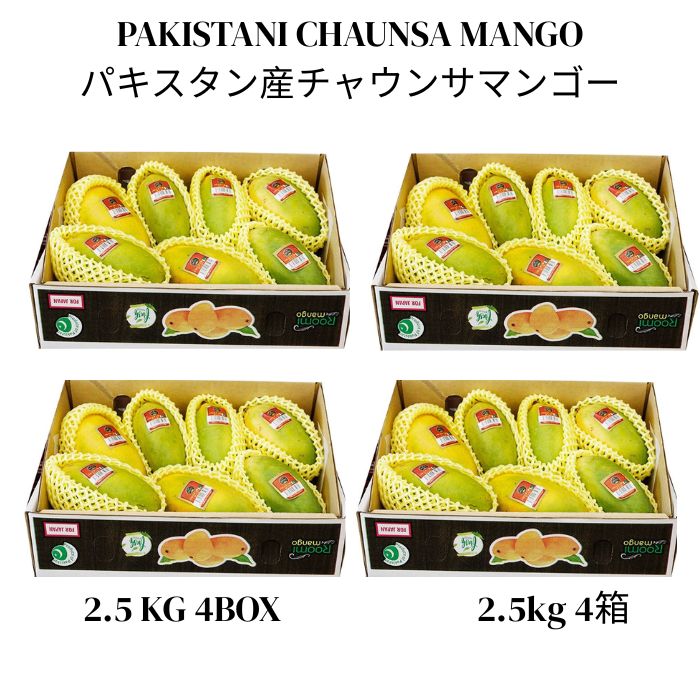 パキスタン産チャウンサマンゴー 2.5kg 4箱